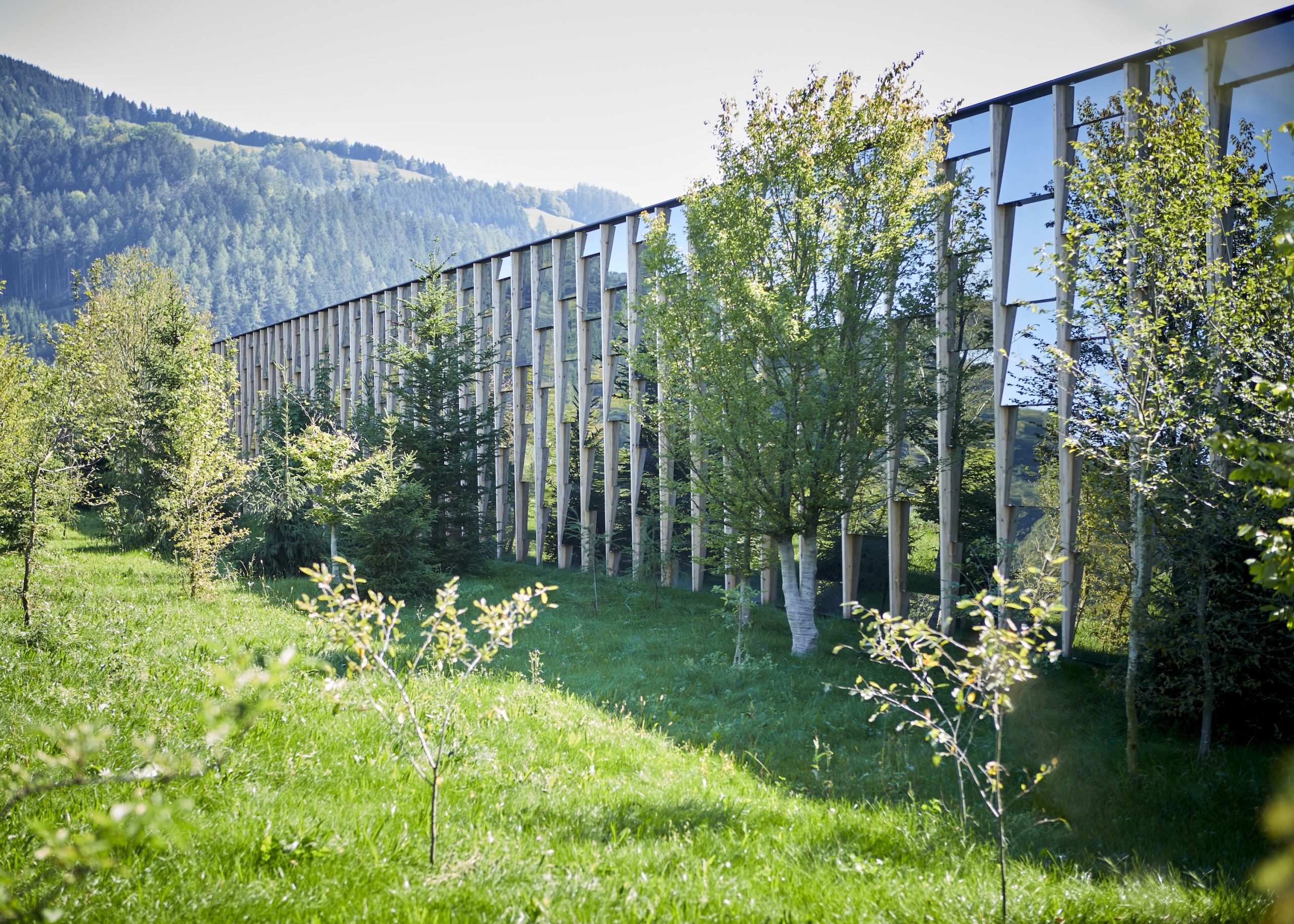 Grüne Erde Welt, Holzbau.